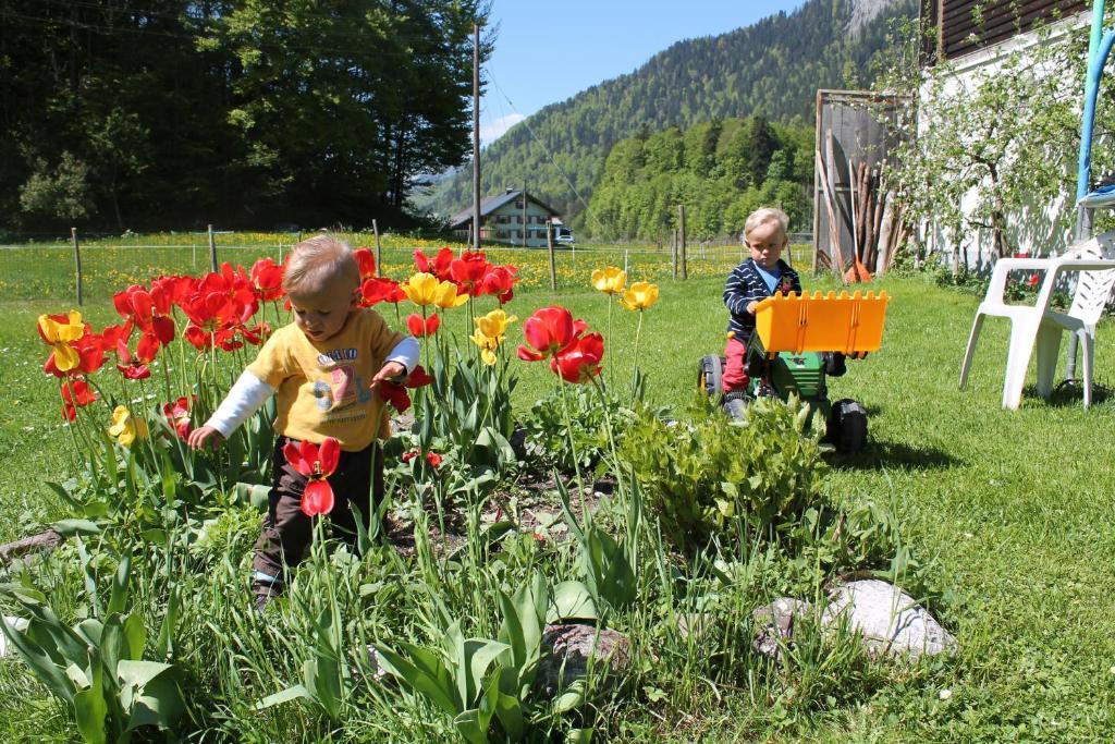 Ferienwohnungen Sutter Au (Vorarlberg) Extérieur photo